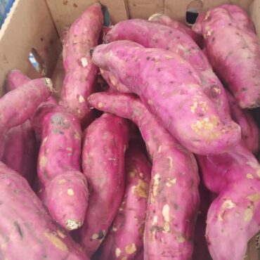 Sweet Potatoes