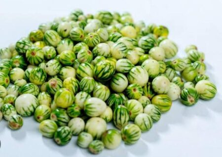 Bitter berries