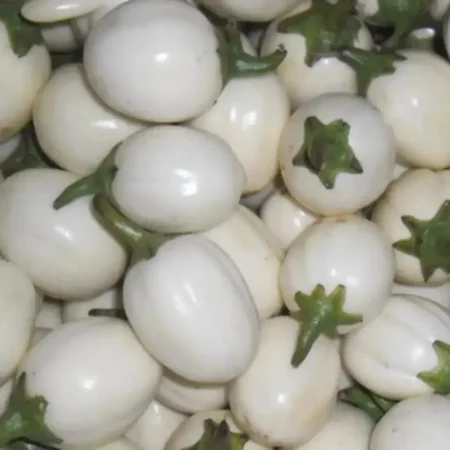 Garden eggs