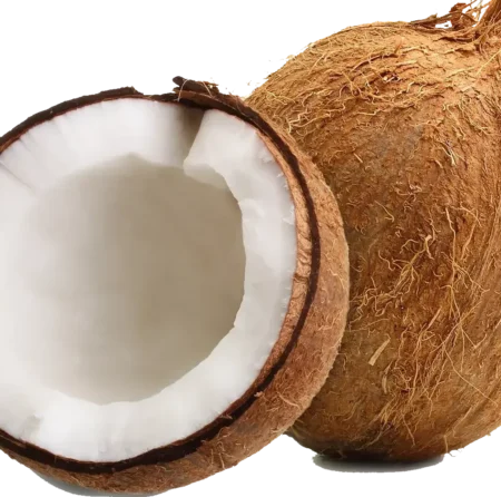 Thai Special Coconut, each