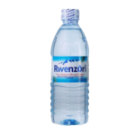 Rwenzori Water 500ml