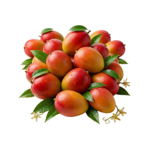Mangoes Fresh