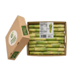 Sugarcane