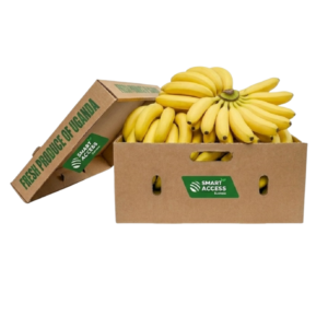 Sweet Bananas