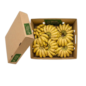 Sweet Bananas