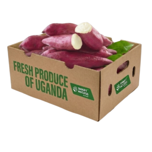 Sweet Potatoes Red