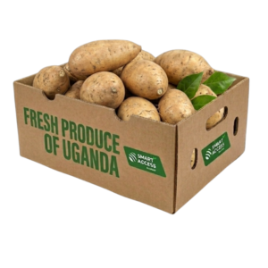 Sweet Potatoes White